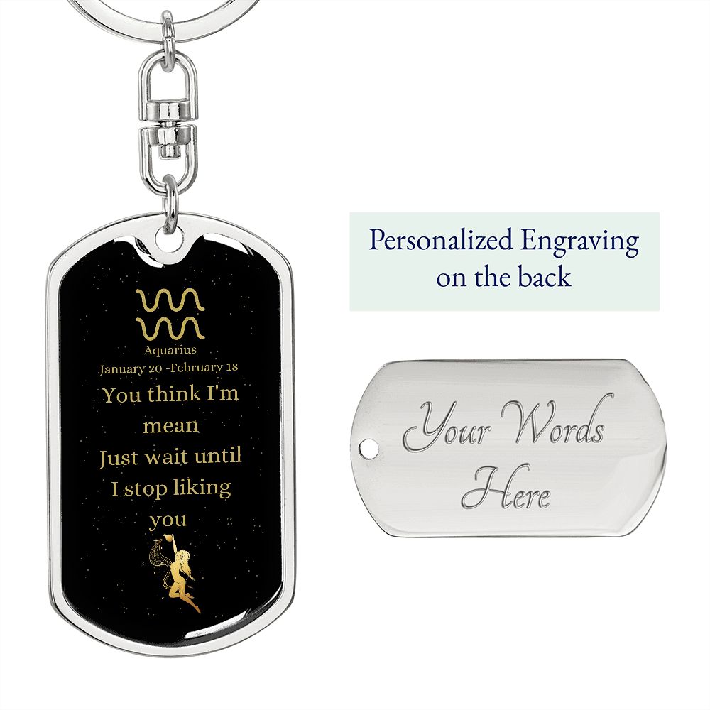Mean Aquarius | Zodiac Dog Tag Keychain