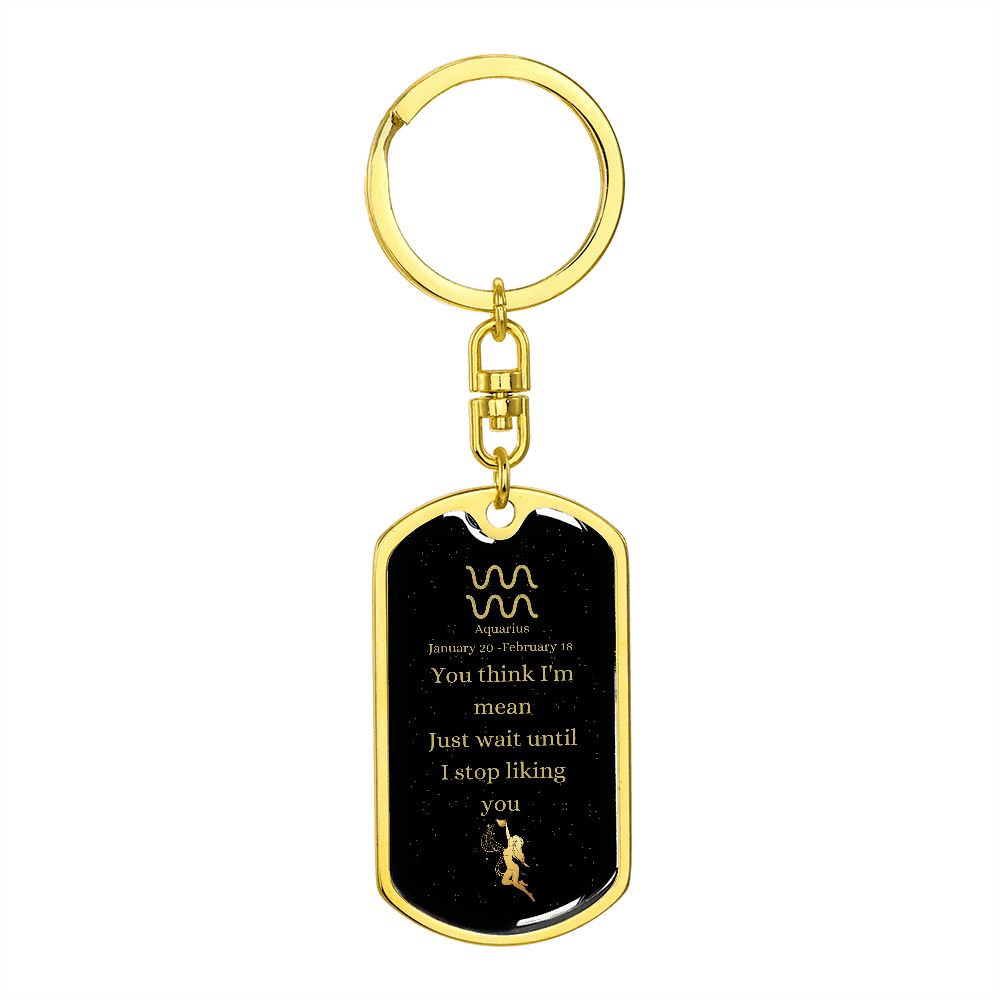 Mean Aquarius | Zodiac Dog Tag Keychain