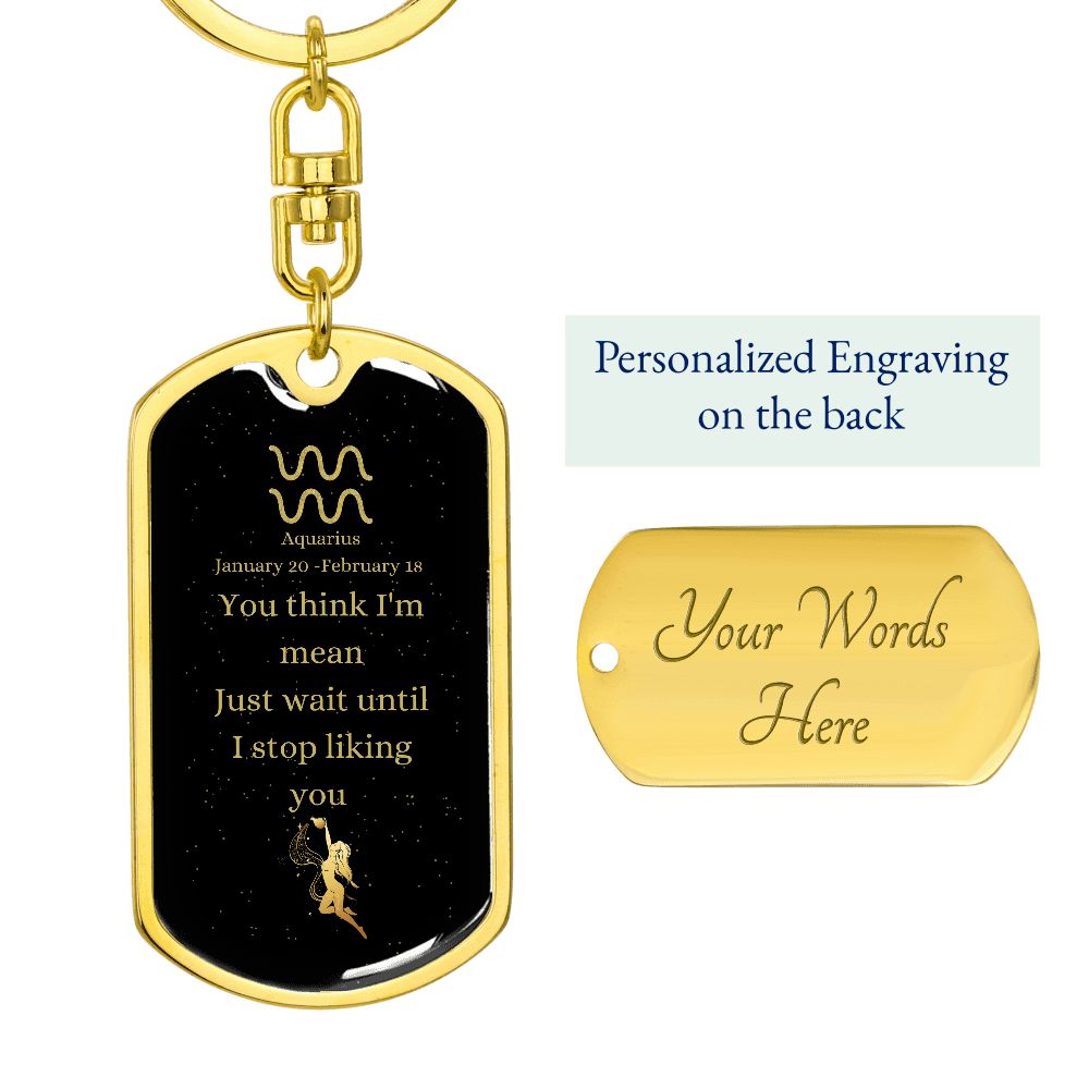 Mean Aquarius | Zodiac Dog Tag Keychain